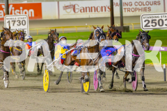 2025_PACEPIX_GP02052025_Race5_MisterSmartee_WIN_WEB-12
