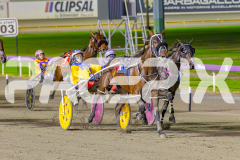 2025_PACEPIX_GP02052025_Race5_MisterSmartee_WIN_WEB-13