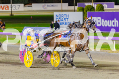 2025_PACEPIX_GP02052025_Race5_MisterSmartee_WIN_WEB-15