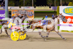 2025_PACEPIX_GP02052025_Race5_MisterSmartee_WIN_WEB-17