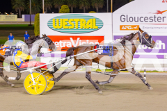 2025_PACEPIX_GP02052025_Race5_MisterSmartee_WIN_WEB-18