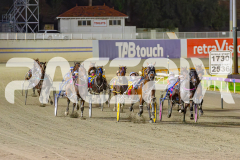 2025_PACEPIX_GP02052025_Race5_MisterSmartee_WIN_WEB-20