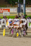 2025_PACEPIX_GP02052025_Race5_MisterSmartee_WIN_WEB-24