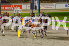 2025_PACEPIX_GP02052025_Race5_MisterSmartee_WIN_WEB-25