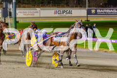 2025_PACEPIX_GP02052025_Race5_MisterSmartee_WIN_WEB-26