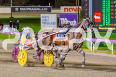 2025_PACEPIX_GP02052025_Race5_MisterSmartee_WIN_WEB-27