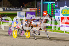 2025_PACEPIX_GP02052025_Race5_MisterSmartee_WIN_WEB-28