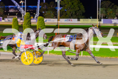 2025_PACEPIX_GP02052025_Race5_MisterSmartee_WIN_WEB-30