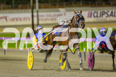 2025_PACEPIX_GP02052025_Race5_MisterSmartee_WIN_WEB-38
