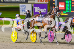 2025_PACEPIX_GP02052025_Race5_MisterSmartee_WIN_WEB-42