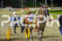 2025_PACEPIX_GP02052025_Race5_MisterSmartee_WIN_WEB-47