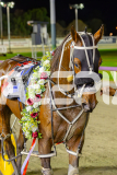 2025_PACEPIX_GP02052025_Race5_MisterSmartee_WIN_WEB-48
