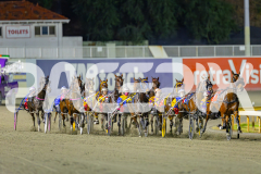 2025_PACEPIX_GP02052025_Race5_MisterSmartee_WIN_WEB-5