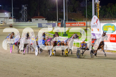 2025_PACEPIX_GP02052025_Race5_MisterSmartee_WIN_WEB-6