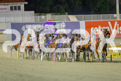 2025_PACEPIX_GP02052025_Race5_MisterSmartee_WIN_WEB-7
