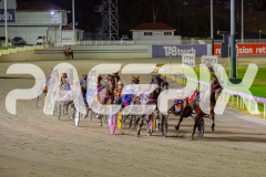 2025_PACEPIX_GP02052025_Race5_MisterSmartee_WIN_WEB-8