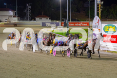 2025_PACEPIX_GP02052025_Race5_MisterSmartee_WIN_WEB-9