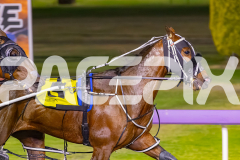 2025_PACEPIX_GP14112025_RACE5_MisterSmartee_WIN_WEB-12
