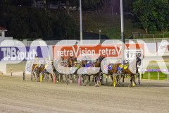 2025_PACEPIX_GP14112025_RACE5_MisterSmartee_WIN_WEB-13