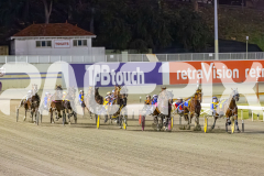 2025_PACEPIX_GP14112025_RACE5_MisterSmartee_WIN_WEB-14
