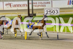 2025_PACEPIX_GP14112025_RACE5_MisterSmartee_WIN_WEB-15