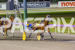2025_PACEPIX_GP14112025_RACE5_MisterSmartee_WIN_WEB-16