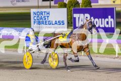 2025_PACEPIX_GP14112025_RACE5_MisterSmartee_WIN_WEB-17
