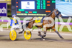 2025_PACEPIX_GP14112025_RACE5_MisterSmartee_WIN_WEB-18