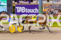 2025_PACEPIX_GP14112025_RACE5_MisterSmartee_WIN_WEB-19