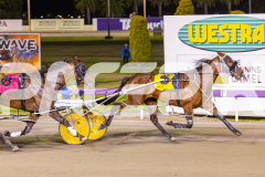 2025_PACEPIX_GP14112025_RACE5_MisterSmartee_WIN_WEB-20