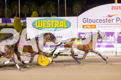 2025_PACEPIX_GP14112025_RACE5_MisterSmartee_WIN_WEB-21