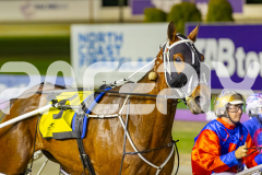 2025_PACEPIX_GP14112025_RACE5_MisterSmartee_WIN_WEB-24