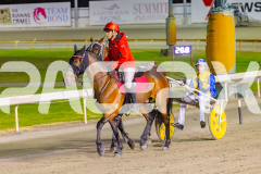 2025_PACEPIX_GP14112025_RACE5_MisterSmartee_WIN_WEB-25