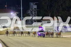 2025_PACEPIX_GP14112025_RACE5_MisterSmartee_WIN_WEB-7