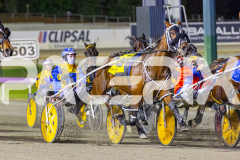 2025_PACEPIX_GP14112025_RACE5_MisterSmartee_WIN_WEB-8