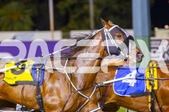 2025_PACEPIX_GP14112025_RACE5_MisterSmartee_WIN_WEB-9