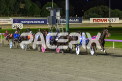 Munroes-mate_16-06-2026_WIN_Gloucester-Park_5__02