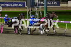 Munroes-mate_16-06-2026_WIN_Gloucester-Park_5__03