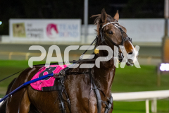 Munroes-mate_16-06-2026_WIN_Gloucester-Park_5__10