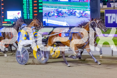 RACE 5 - My Watchlist