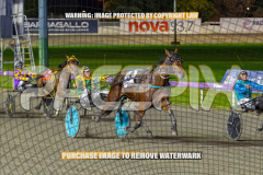 2026_PACEPIX_GP25082026_RACE5_Nevelerma_WIN_WEB-12