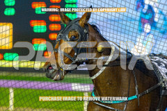 2026_PACEPIX_GP25082026_RACE5_Nevelerma_WIN_WEB-27