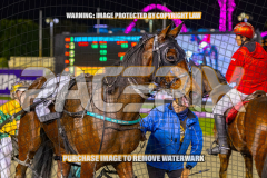 2026_PACEPIX_GP25082026_RACE5_Nevelerma_WIN_WEB-31