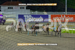 2026_PACEPIX_GP25082026_RACE5_Nevelerma_WIN_WEB-7