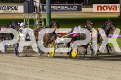 2025_PACEPIX_GP27062025_RACE5_NO-MONEY_WIN_WEB-1