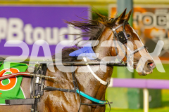 2025_PACEPIX_GP22042025_Race5_OurRichCargo_WIN_WEB-20