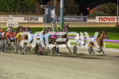 Penny-Black_06-03-2026_WIN_Gloucester-Park_5__11