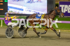 Poppyonthebeach_26-06-2026_WIN_Gloucester-Park_5__05