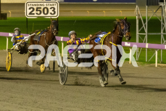 Poppyonthebeach_26-06-2026_WIN_Gloucester-Park_5__08