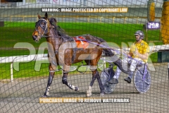 2026_PACEPIX_GP08092026_RACE5_PrincessDiamond_WIN_WEB-15